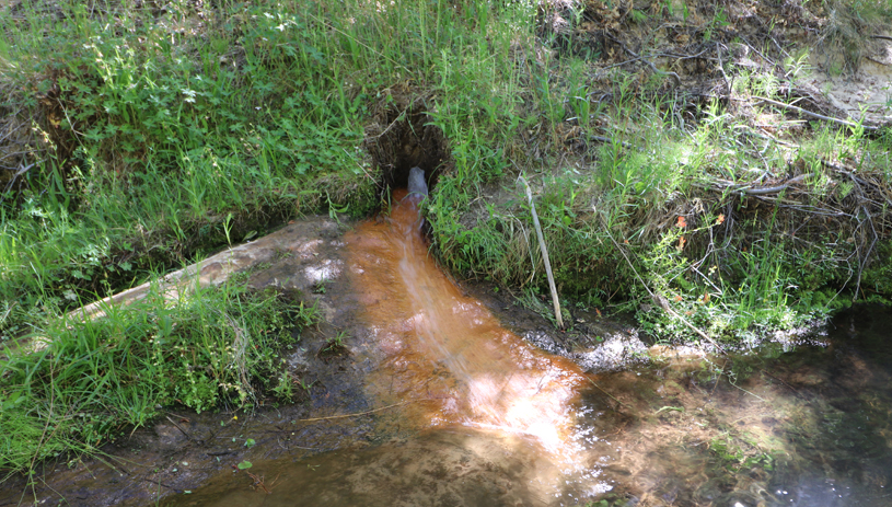 A fountain spring flows into the stream at Death Hollow, Grand Staircase-Escalante National Monument. Marc Coles-Ritchie