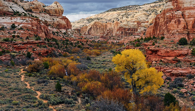 Grand Staircase in the fall. 