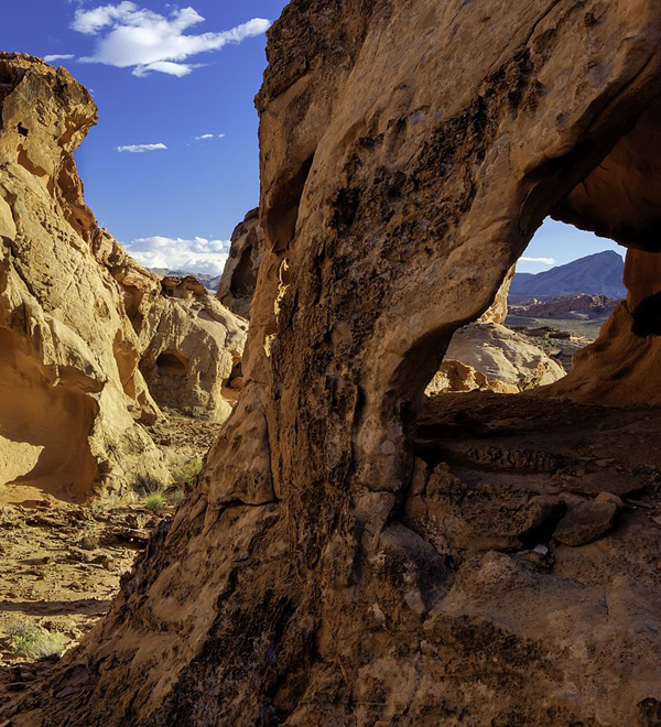 Blog - Trumped (Gold Butte National Monument)