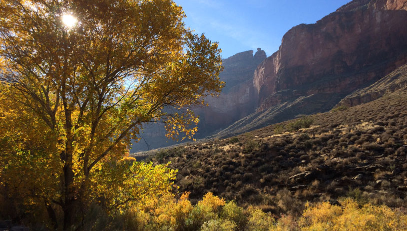 Along Bright Angel Trail just south of Havasupai Gardens