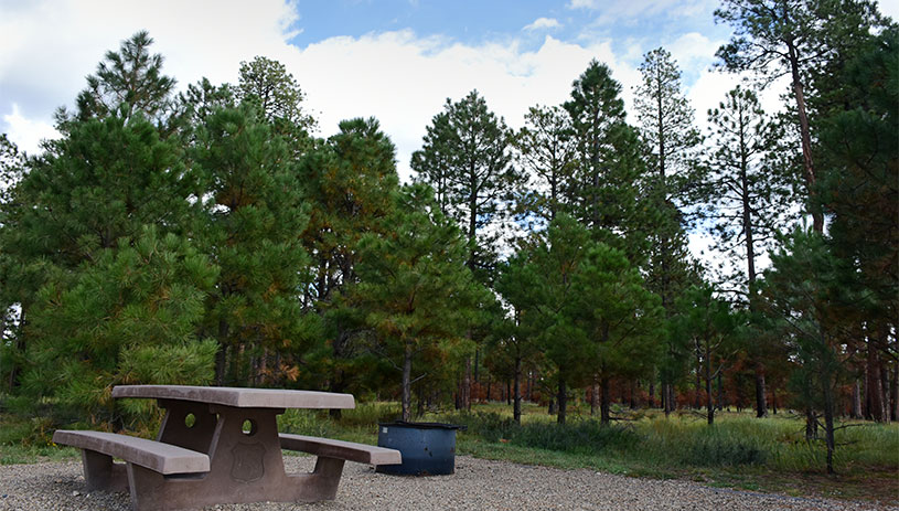 Jacob Lake Campground