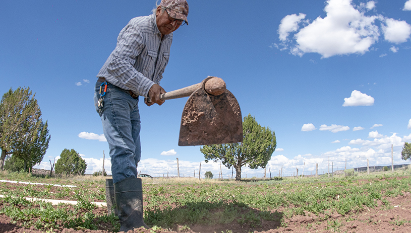 Jim working on the land in Zuni