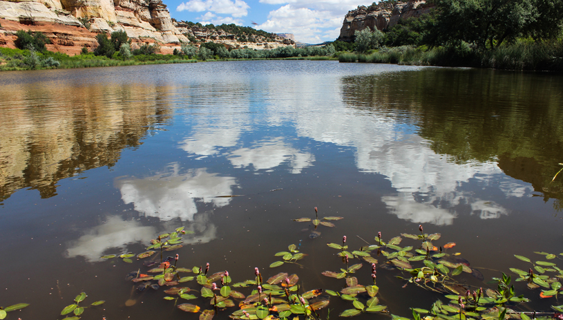 Johnson Lakes Canyon