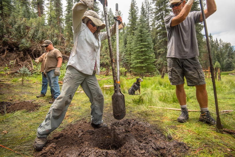 Lisa Nerio digs a fence post hole. Photo by Blake McCord