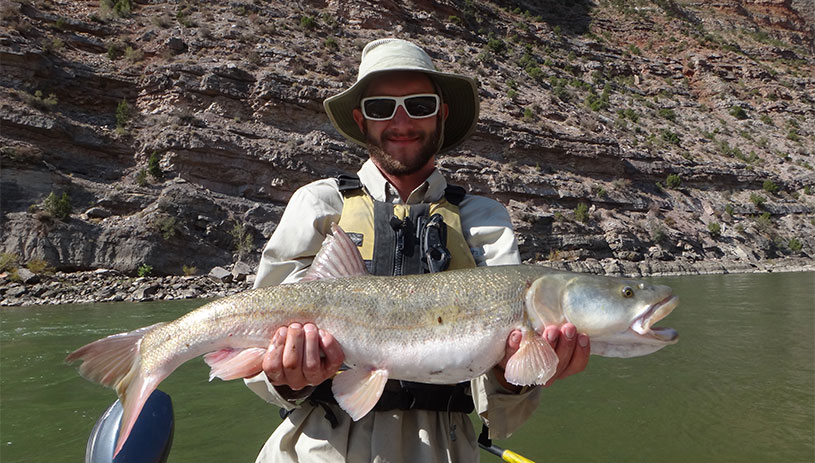 USFWS employee poses with a Colorado pikeminnow