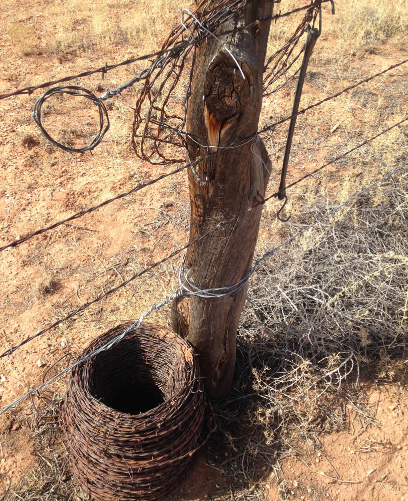 Pronghorn fence modification replacing the barbed bottom strand with smooth