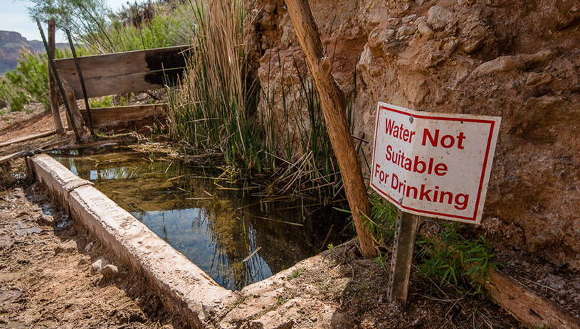 Willow Spring, Hack Canyon. BLAKE MCCORD