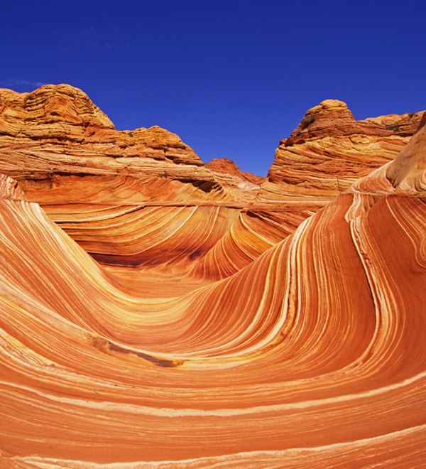 Blog - Trumped (Vermilion Cliffs National Monument)