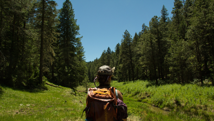 Volunteer trip on the Mongollon Rim