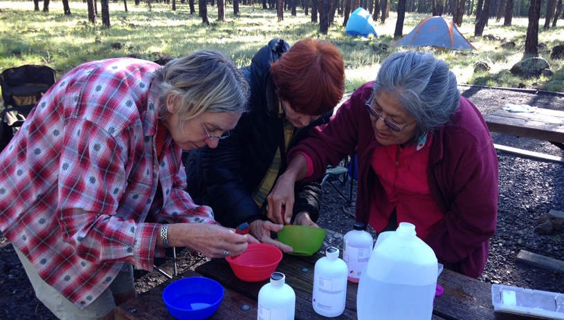 Volunteers calibrate pH meters