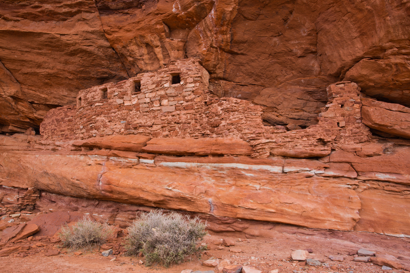 Western Cedar Mesa Canyons Cliff Dwelling, Bears Ears, photo by Jonathan Bailey.