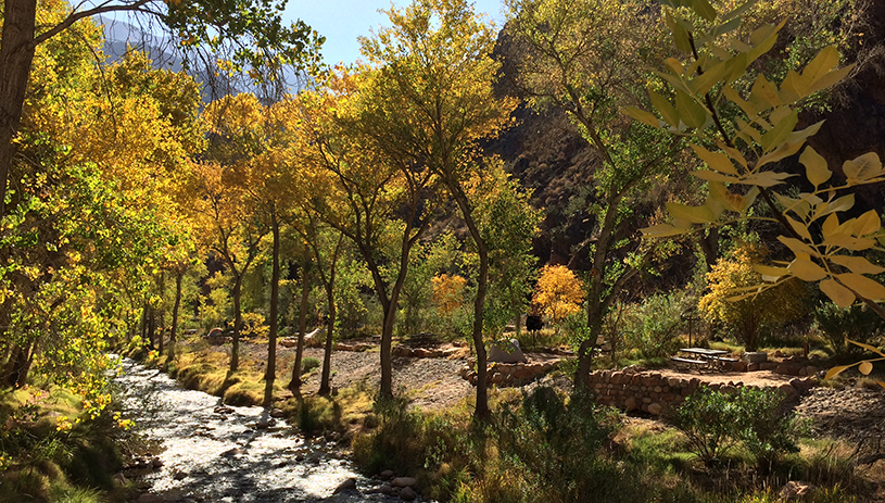 Fall at Bright Angel Campground near Phantom Ranch