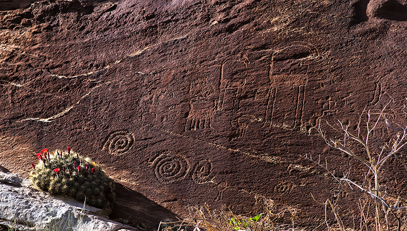 Bighorn sheep rock art