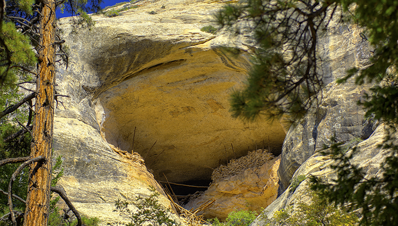 Dry wash cave