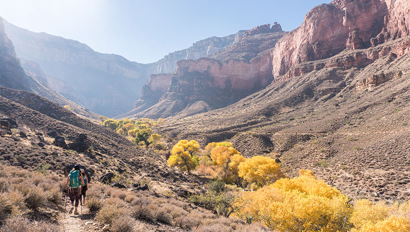 Grand Canyon in the fall