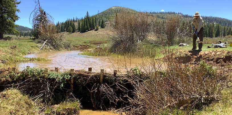 Volunteers finish a human-made beaver dam in Utah.