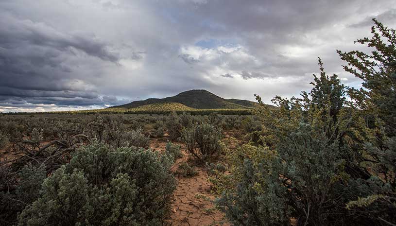 Sage grows near Red Butte, a sacred mountain to the Havasupai people.