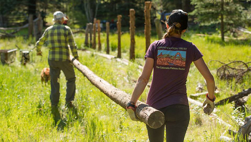 Volunteers build a fence around a spring.