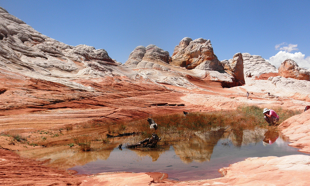 Vermilion Cliffs National Monument