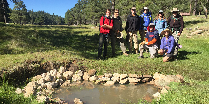 Buck Springs Restoration Trip, 2019