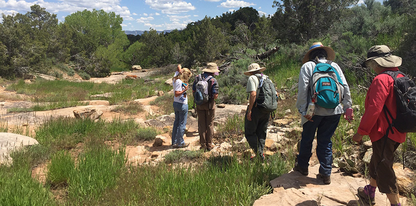 Volunteers in the field this year