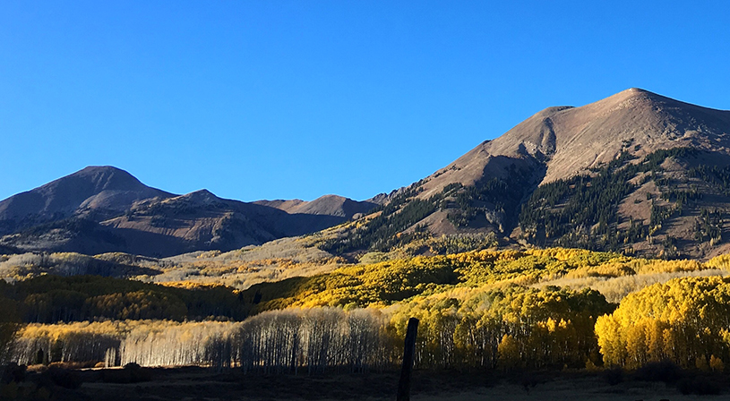 Aspen restoration