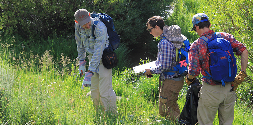 Volunteer Weeding Trip