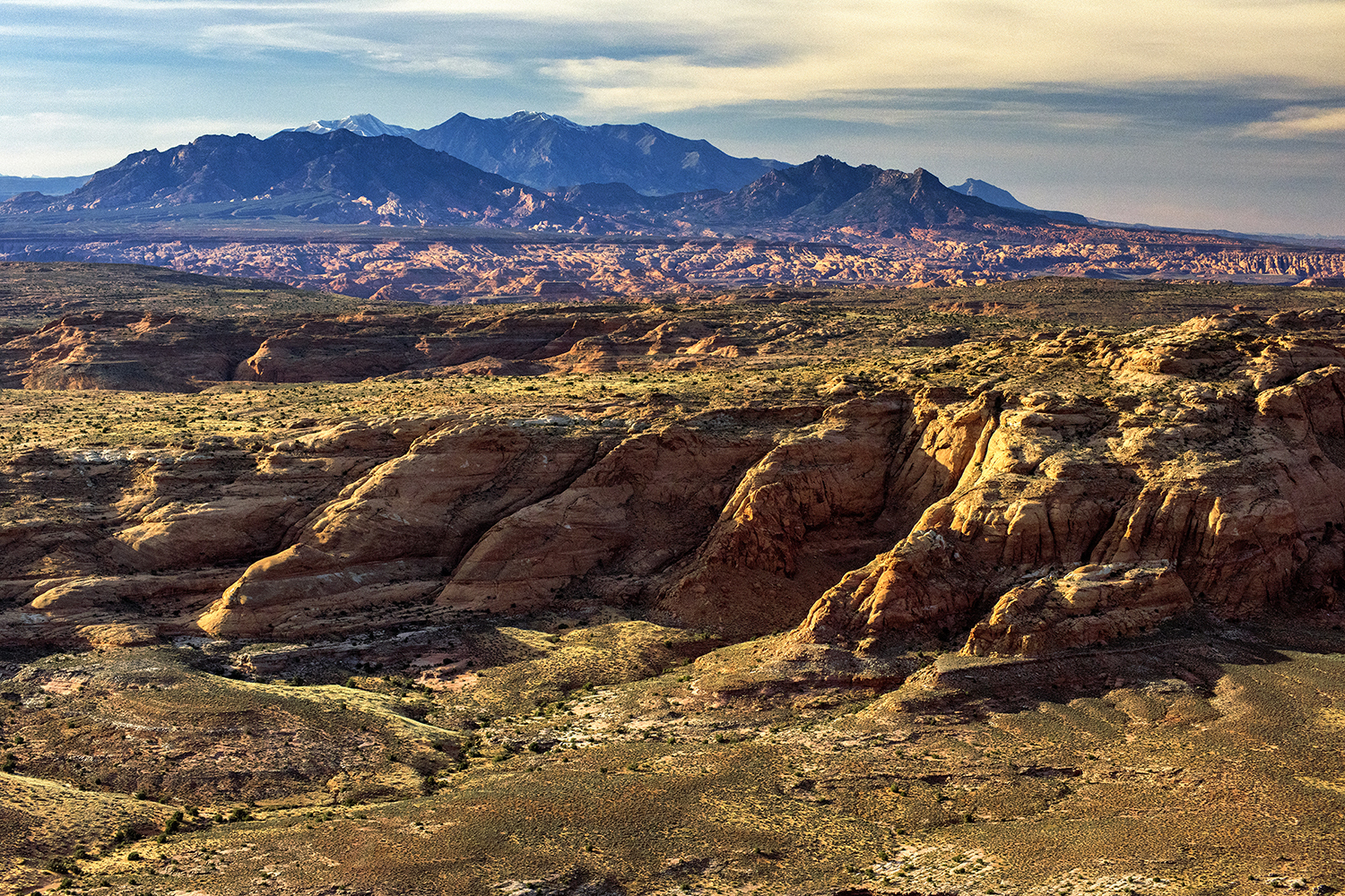 Mancos Mesa