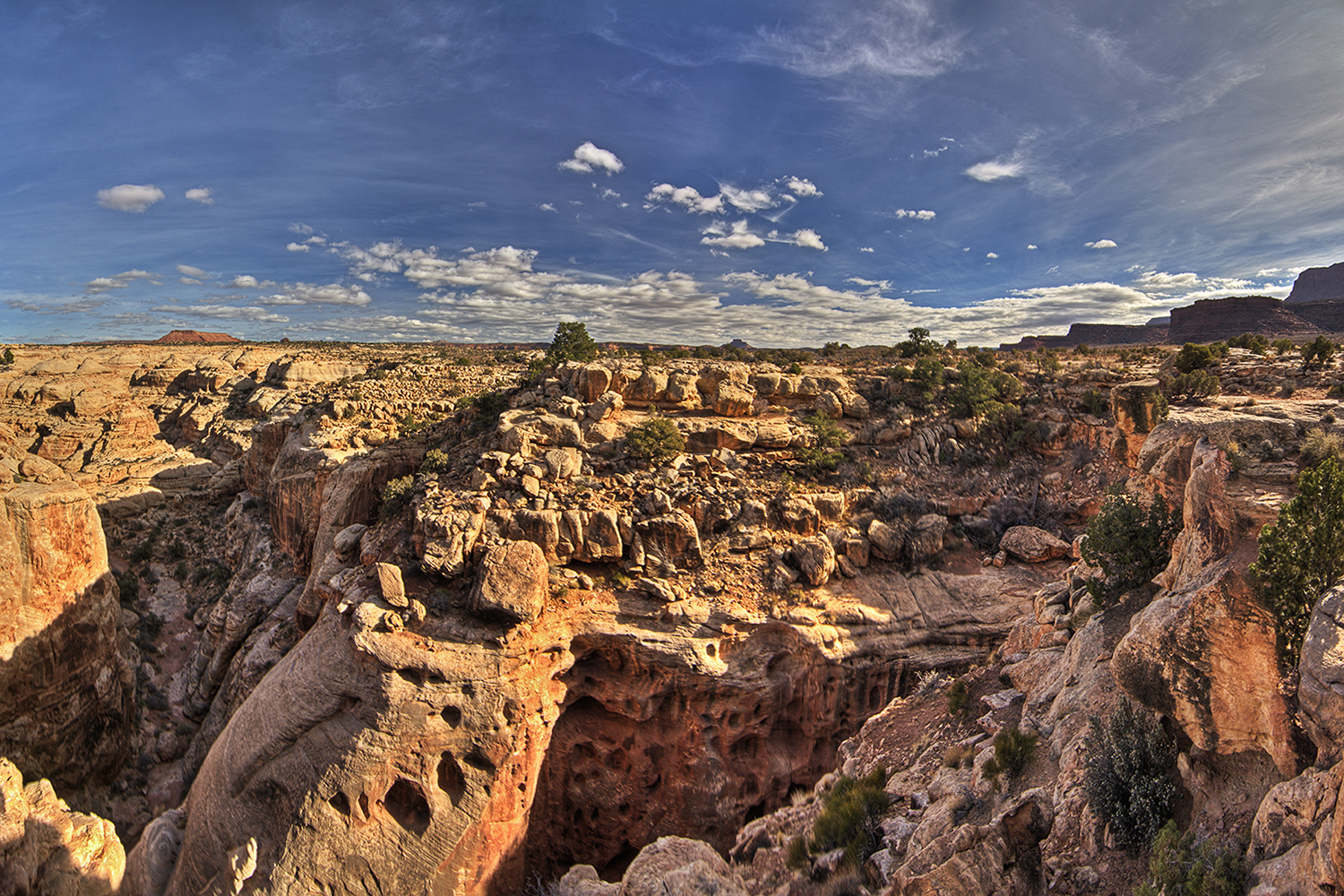 White Canyon