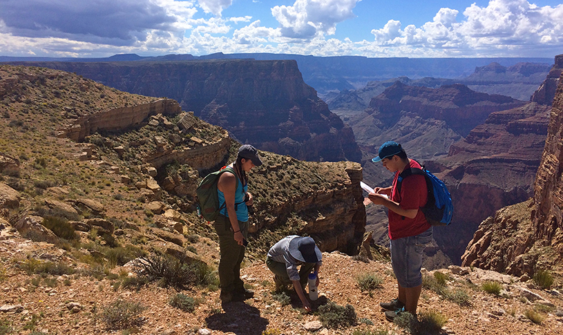 Bioblitz at the Confluence