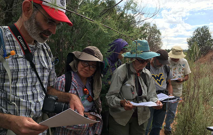 Escalante spring surveys