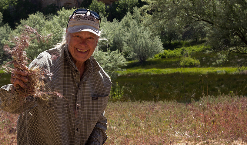 Johnson Lakes volunteer