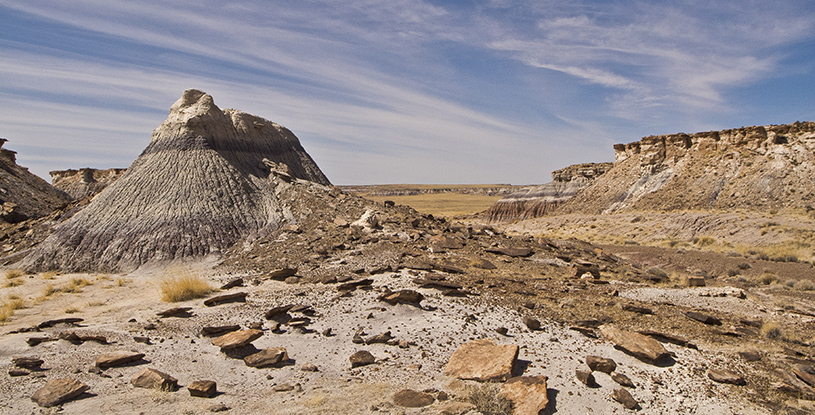 Petrified Forest National Park