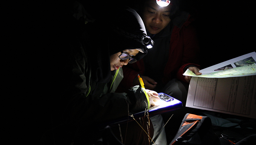 Toad surveyors at work