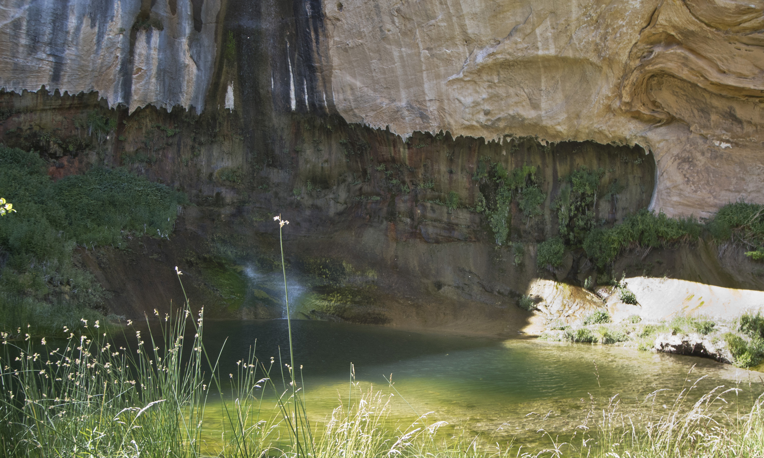 Blog - Upper Calf Creek Falls photo