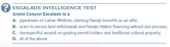 Escalade Intelligence Test