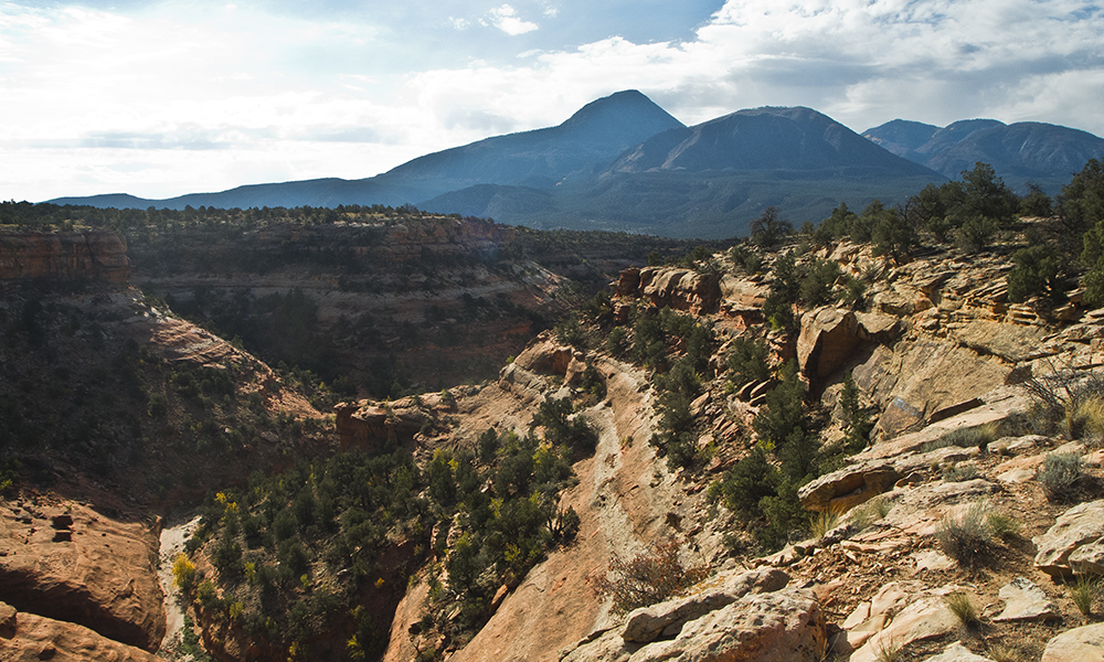 Canyons of the Ancients National Monument