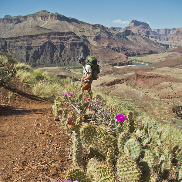 Grand Canyon National Park