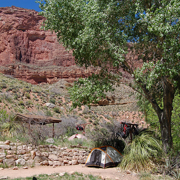 Indian Garden Campground - Grand Canyon Grand Canyon Trust
