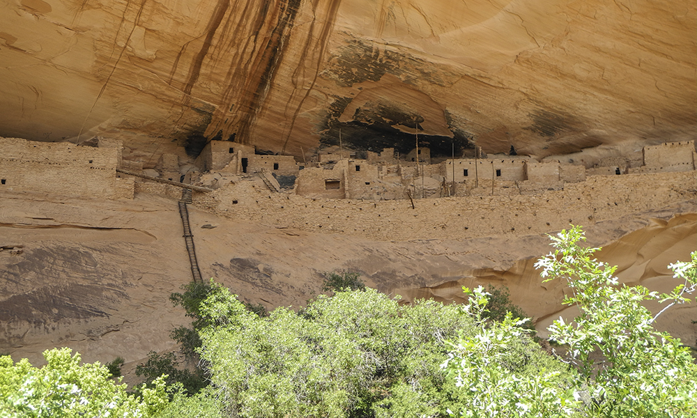 Navajo National Monument