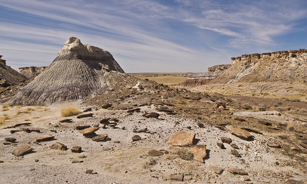 Petrified Forest National Park