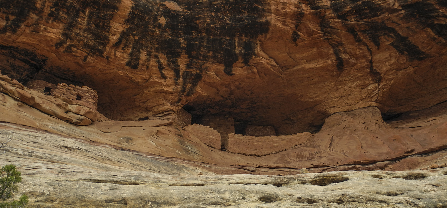 South Fork Mule Canyon