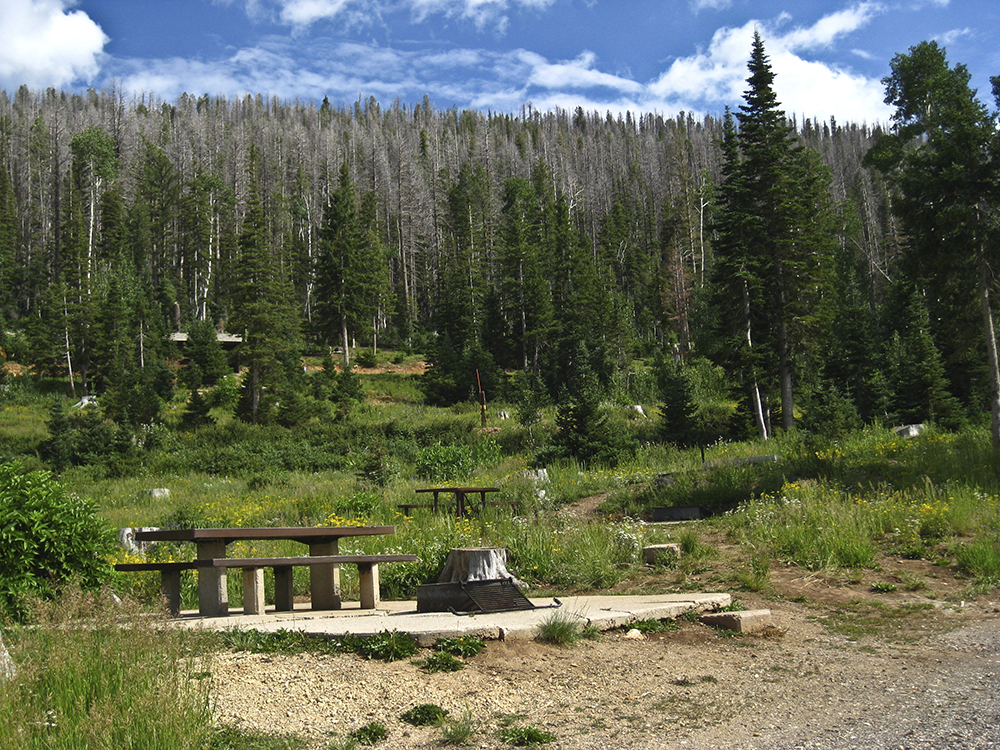 Spruces campground store