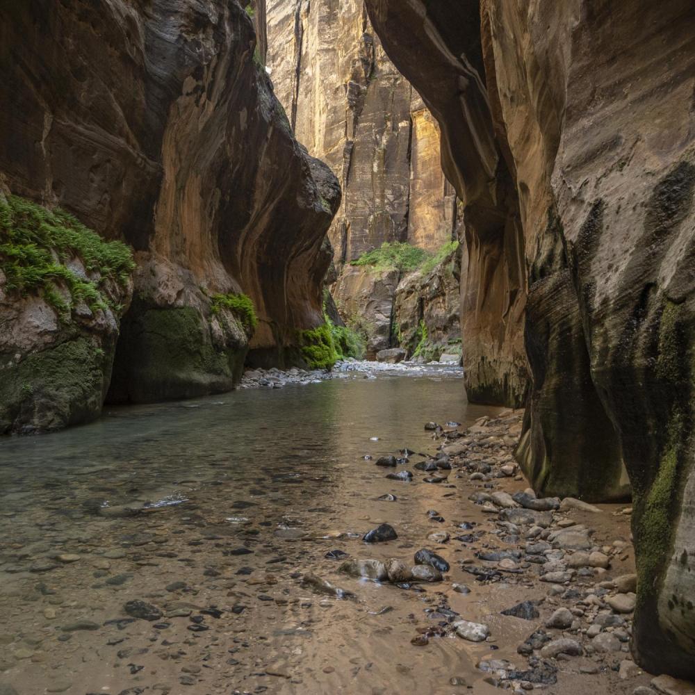 Zion Narrows