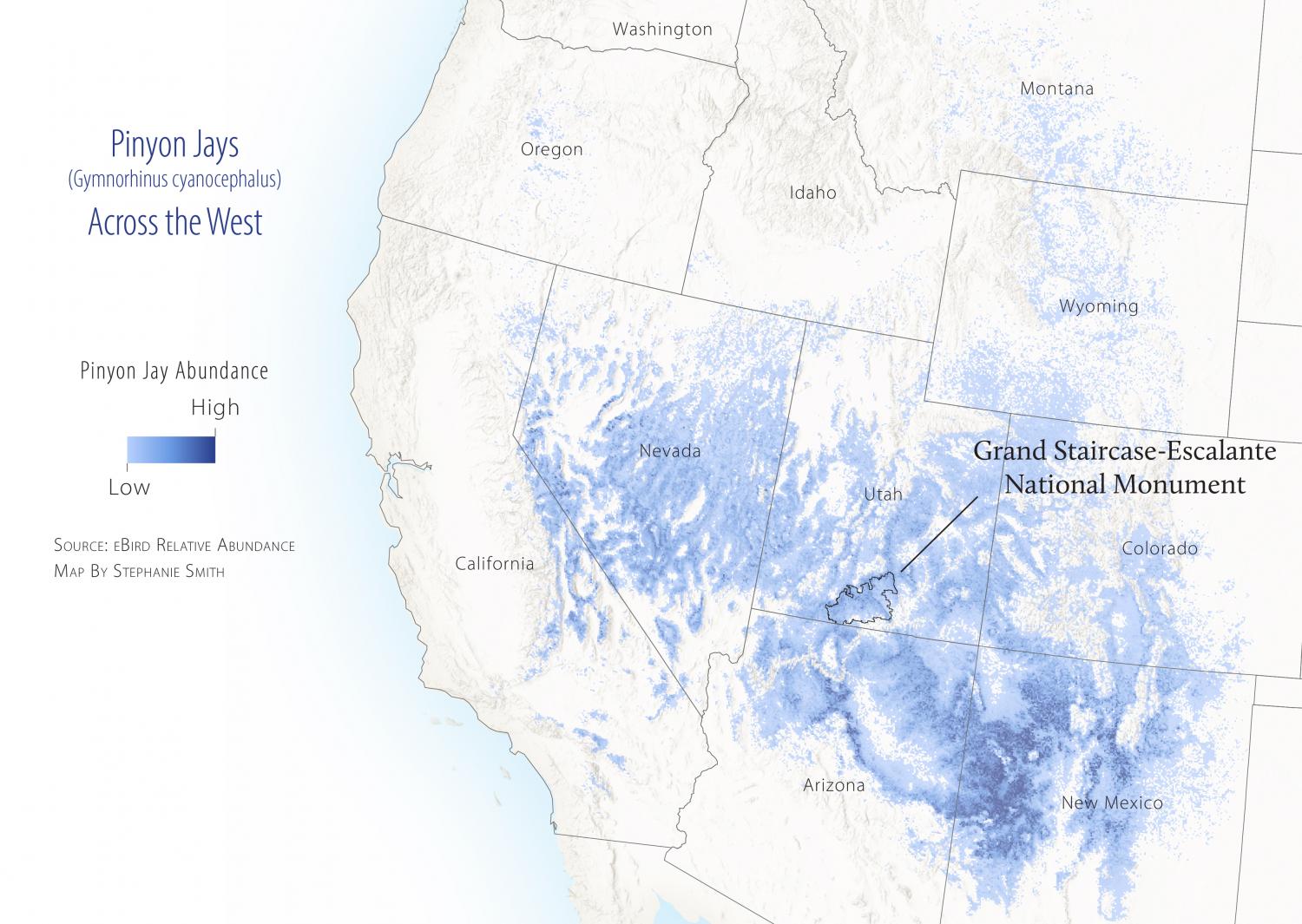 Pinyon jay abundance in the West map.