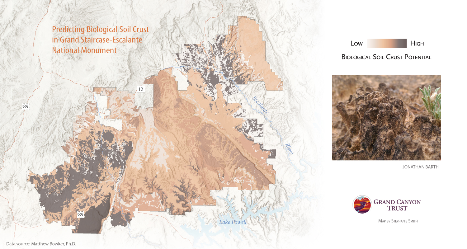Map of biological soil crust in Grand Staircase-Escalante National Monument