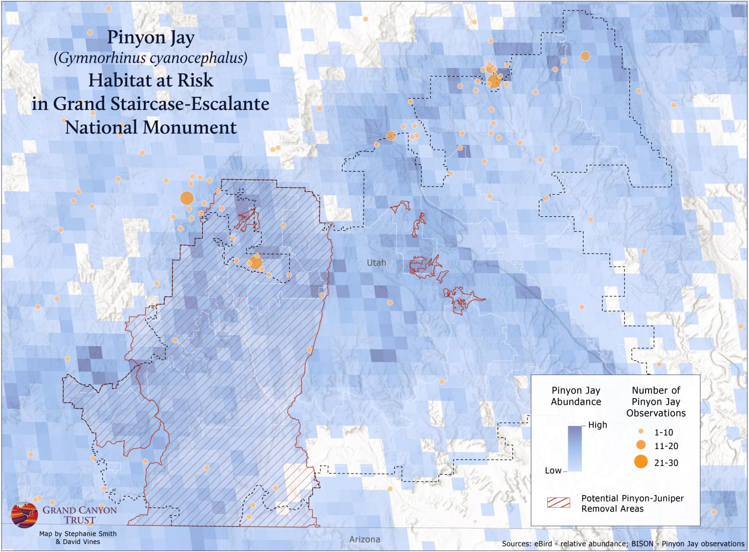 Map pinyon jay observations in Grand Staircase-Escalante National Monument.