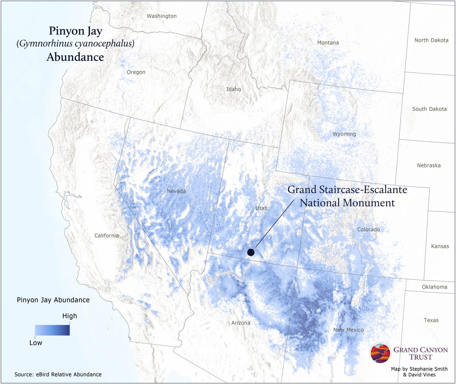 Map of Western pinyon jay abundance