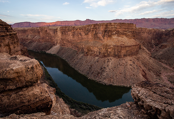 North America's oldest mosasaur fossil found at Grand Staircase-Escalante -  Moab Sun News