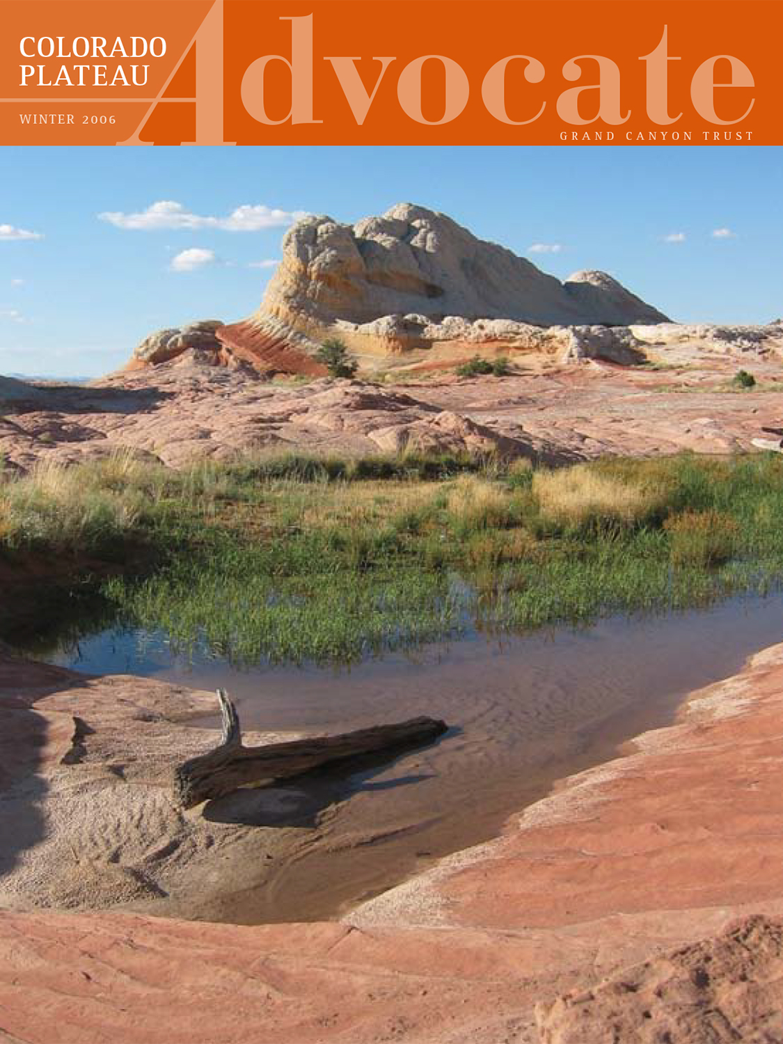 Read the Advocate Magazine